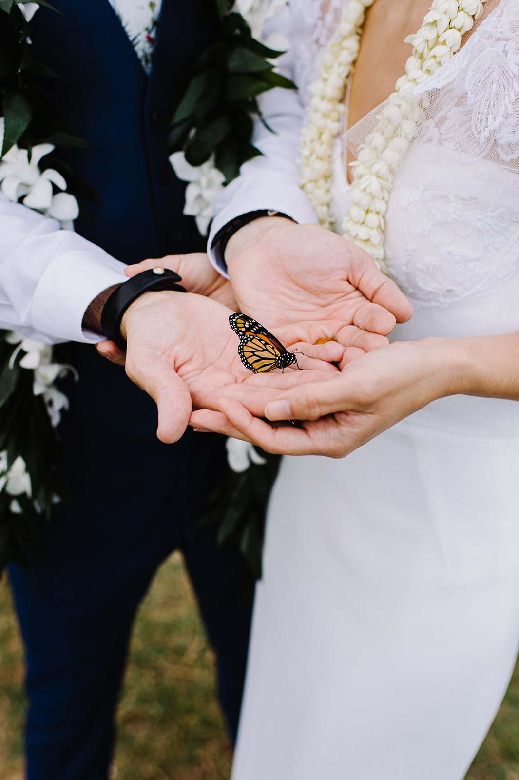 Bride and groom holding a butterfly, preparing for a unique and symbolic exit L Hewitt Photography